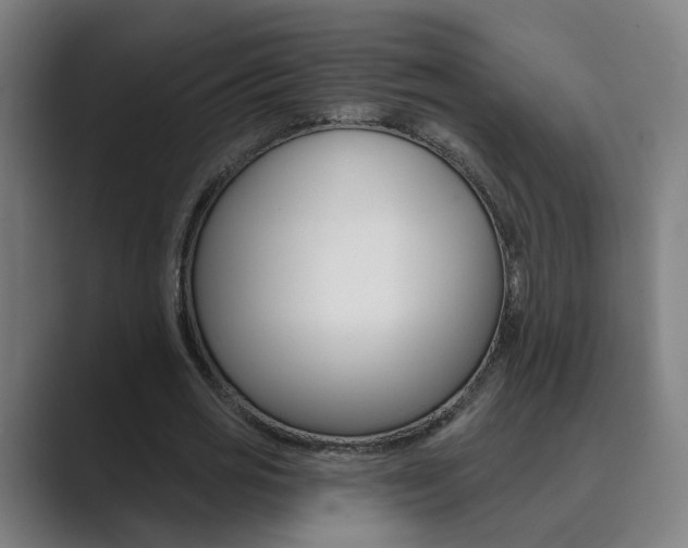X0000089940725200706290815