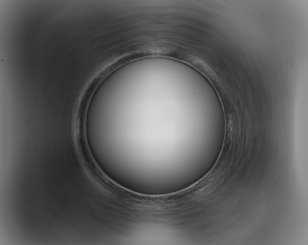 X0000089940726200706290815