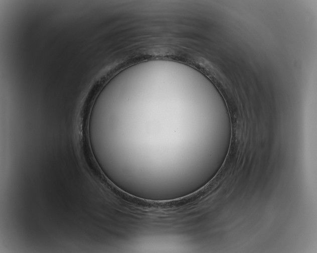 X0000089940727200706290815