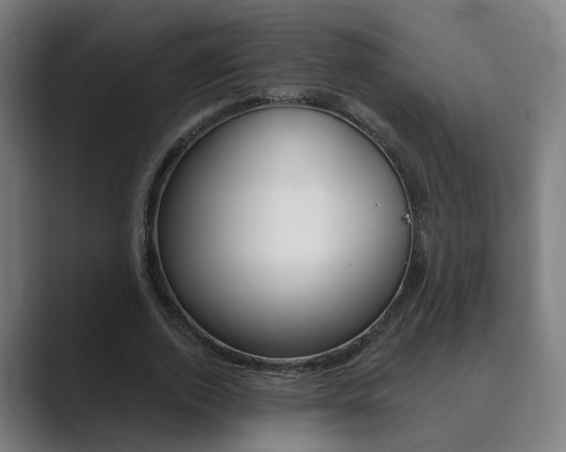 X0000089940728200706290815