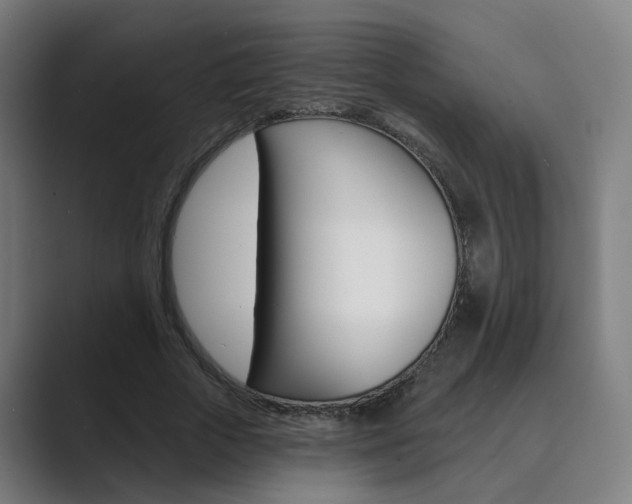 X0000089940729200706290815