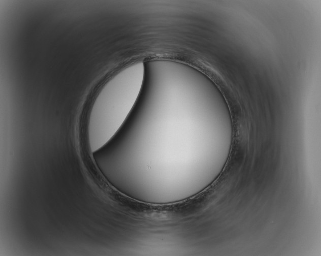 X0000089940730200706290815