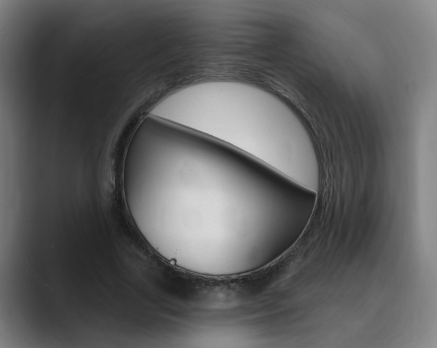 X0000089940731200706290815