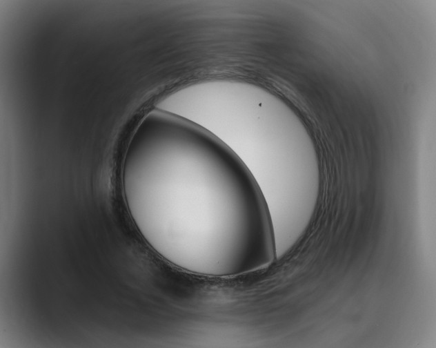 X0000089940732200706290815