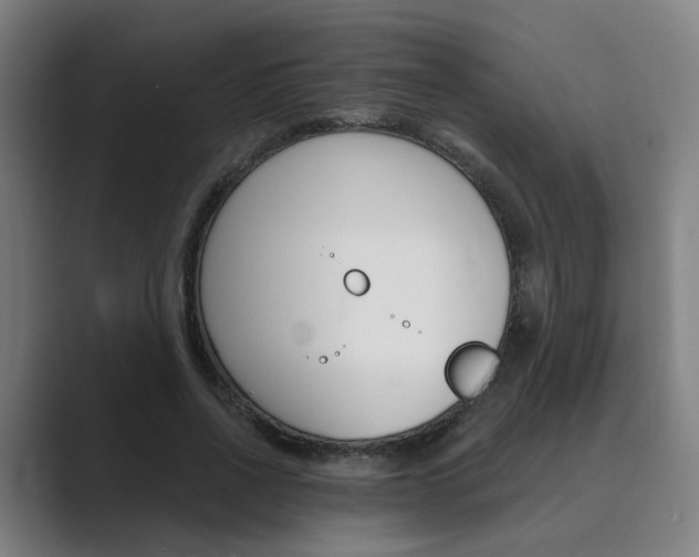 X0000089940734200706290815