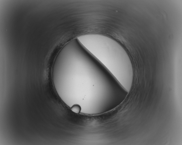 X0000089940735200706290815