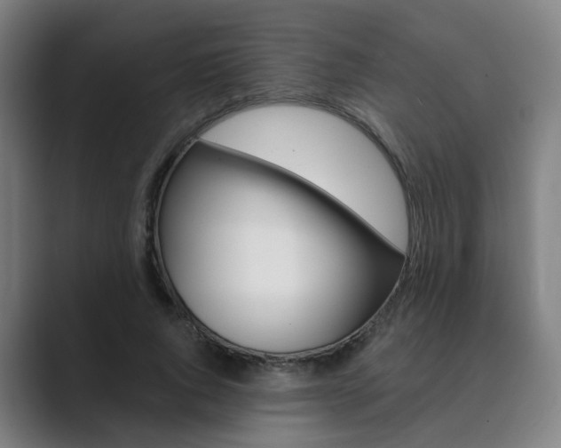 X0000089940736200706290815