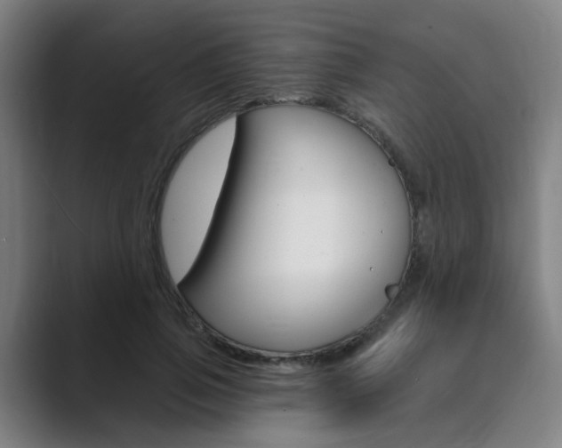 X0000089940741200706290815