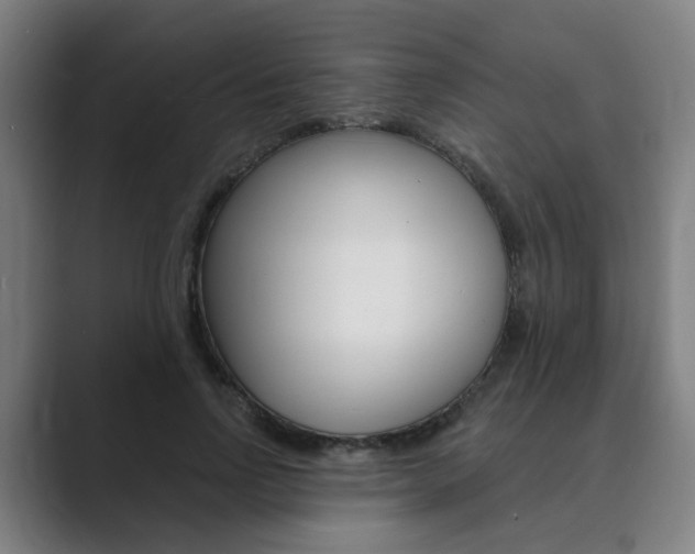 X0000089940742200706290815