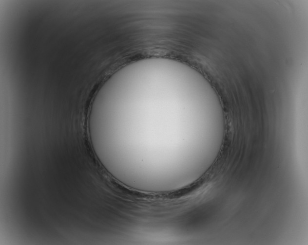X0000089940745200706290815