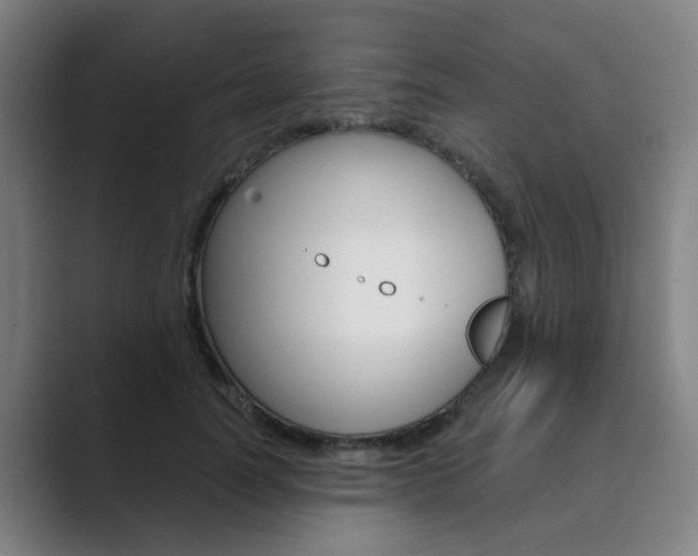 X0000089940746200706290815