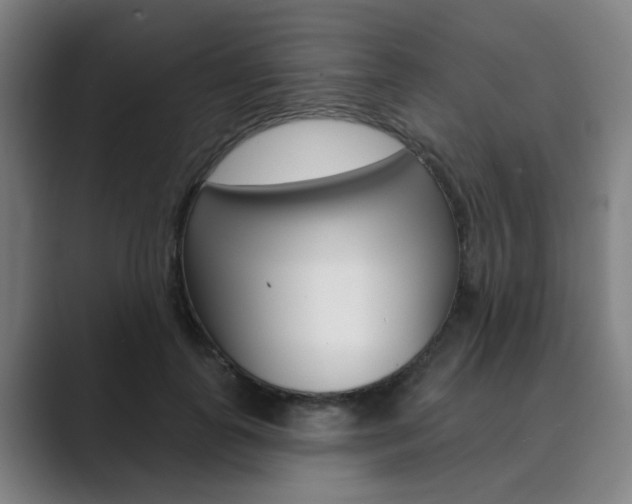 X0000089940747200706290815