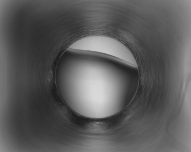 X0000089940748200706290815