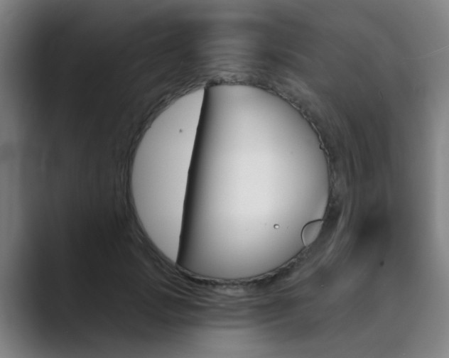X0000089940749200706290815