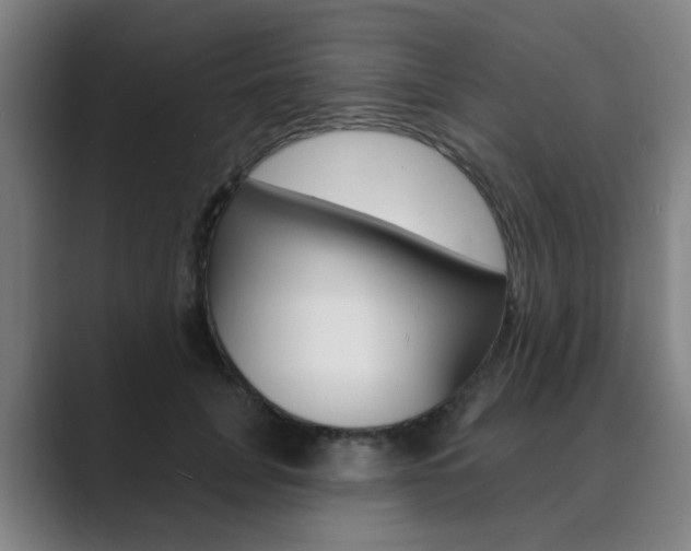 X0000089940751200706290815