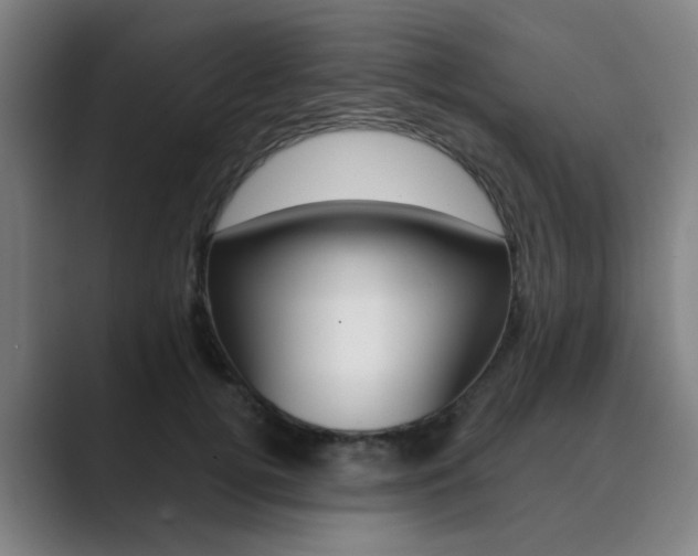 X0000089940752200706290815