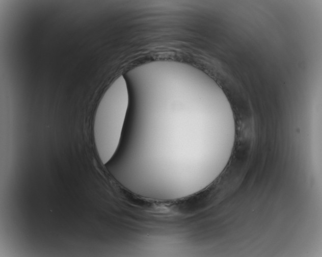 X0000089940753200706290815