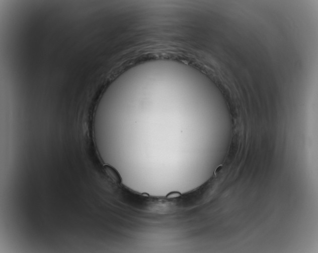 X0000089940754200706290815