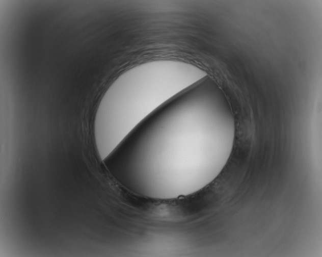 X0000089940755200706290815