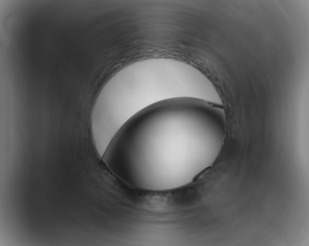 X0000089940756200706290815