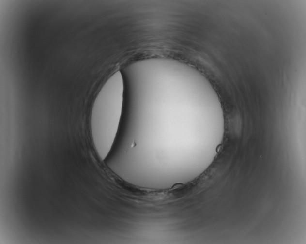 X0000089940757200706290815