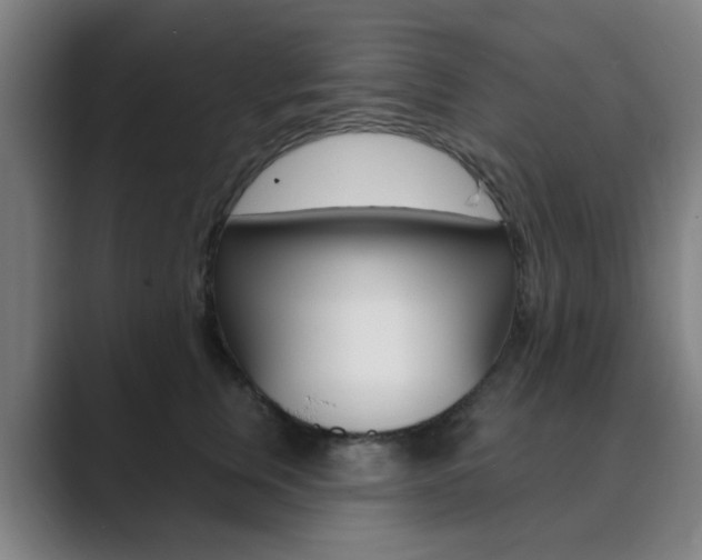 X0000089940759200706290815
