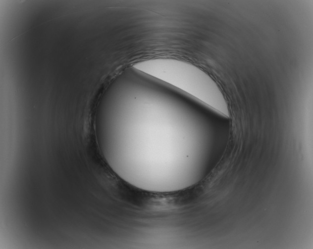 X0000089940760200706290815