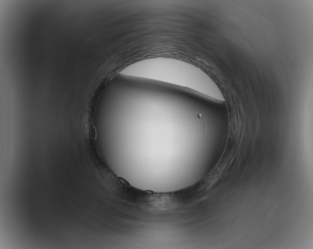 X0000089940762200706290815