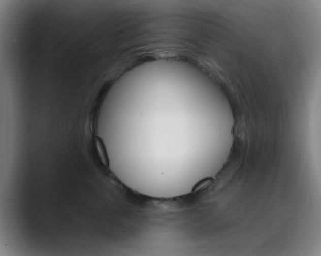 X0000089940763200706290815