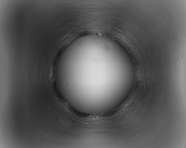 X0000089940764200706290815