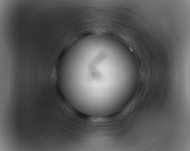 X0000089940766200706290815