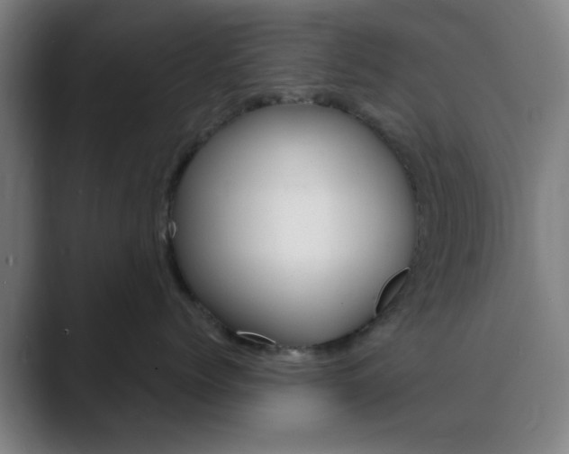 X0000089940768200706290815