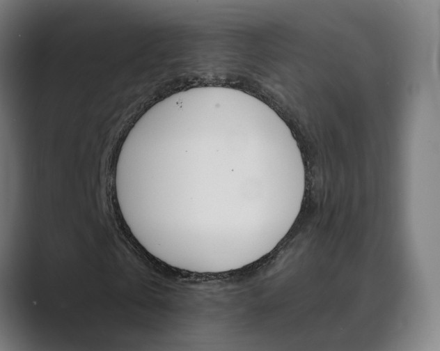 X0000089940769200706290815
