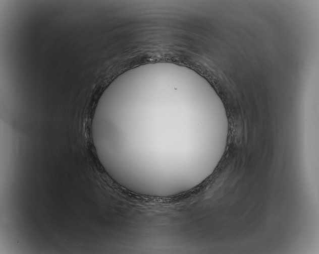 X0000089940770200706290815