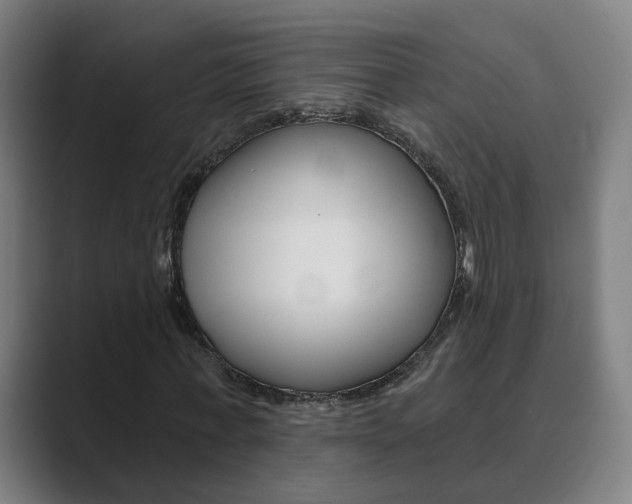 X0000089940771200706290815