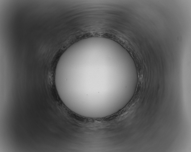 X0000089940772200706290815