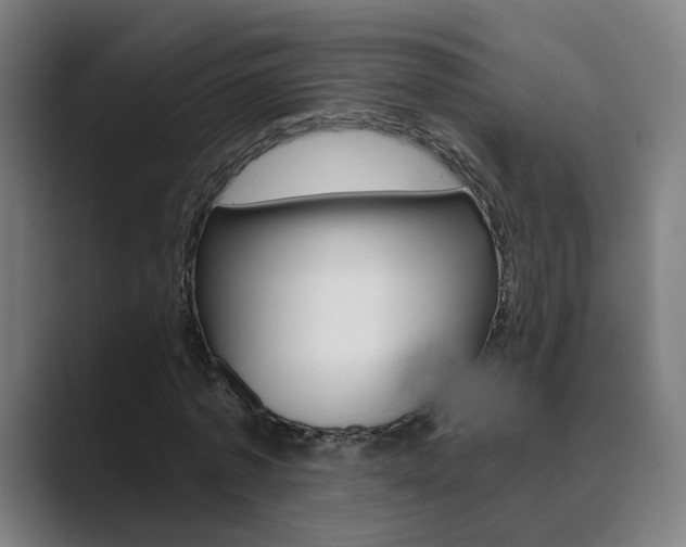 X0000089940773200706290815