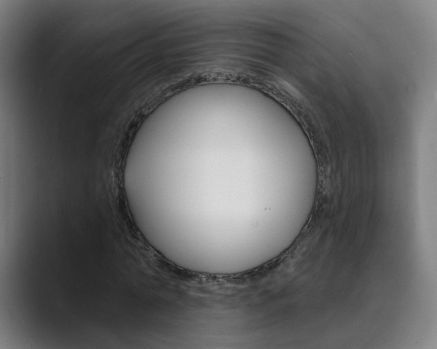 X0000089940774200706290815