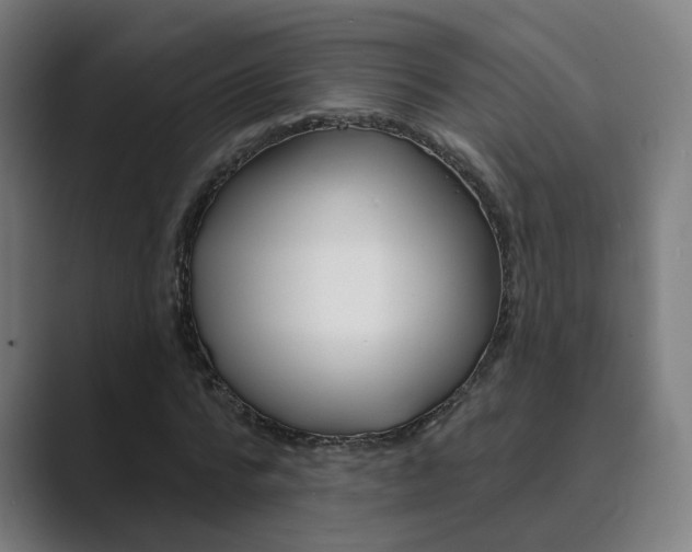 X0000089940776200706290815