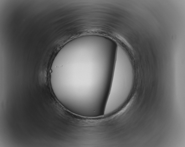 X0000089940777200706290815