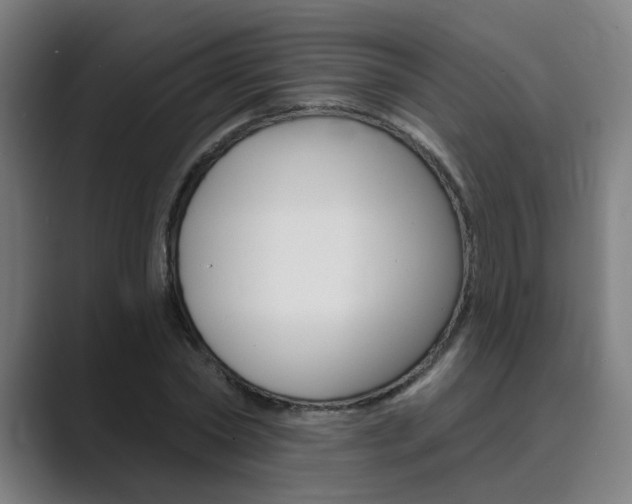 X0000089940782200706290814