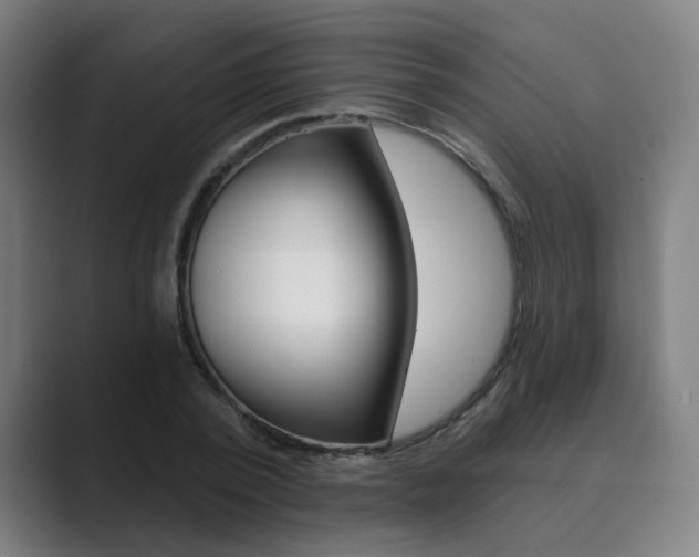 X0000089940784200706290814