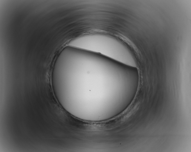 X0000089940785200706290814