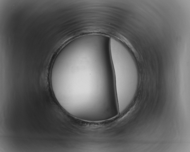 X0000089940786200706290814
