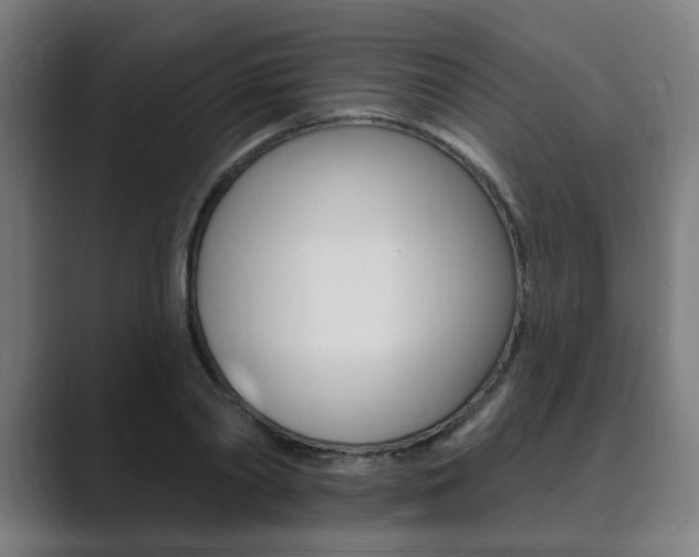 X0000089940790200706290814