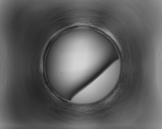 X0000089940791200706290814