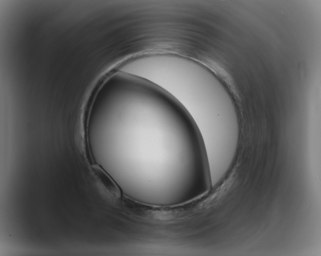 X0000089940792200706290814