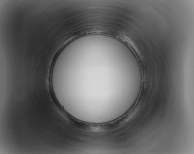 X0000089940794200706290814