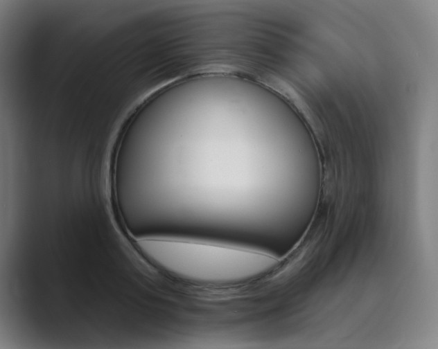 X0000089940795200706290814