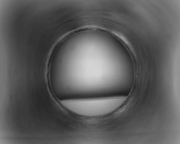 X0000089940799200706290814